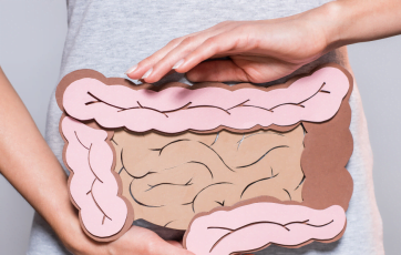 The colon plays an important role in digestion.[:]