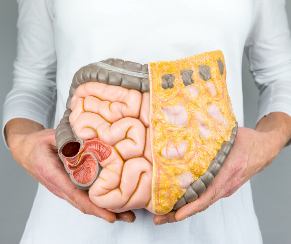 Fibre helps cleanse our colon.