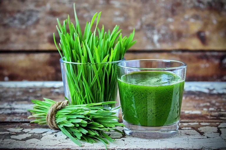 Why Wheatgrass Is a Superfood You Should Try Today (2025)