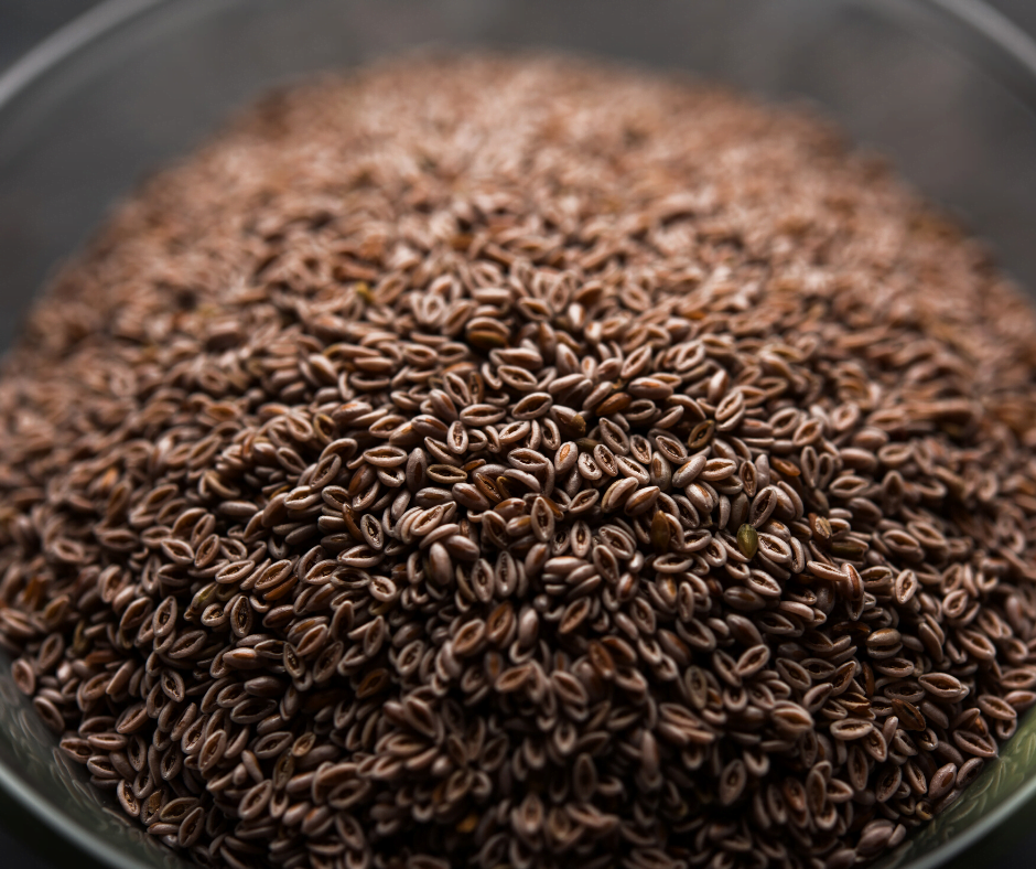 Always incorporate fiber in your diet.