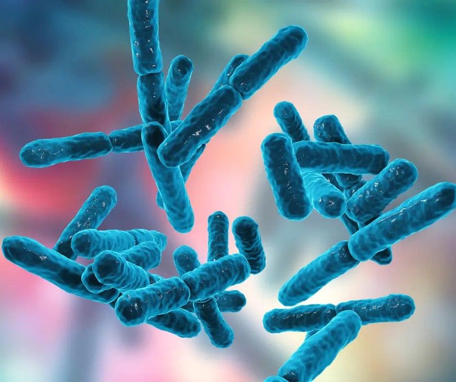 A 3D-rendered image of probiotic bacteria in a vibrant, microscopic view