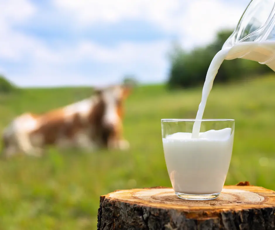 A glass of fresh milk being poured outdoors with a blurred cow in the background